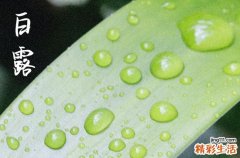2024年今年白露是几月几号 2024年白露可以入殓吗