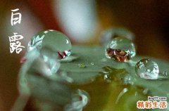 2024年白露是具体哪一天 2024年白露公司注册吉祥吗
