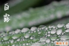 2024白露是哪天 2024年白露制作房梁合适吗