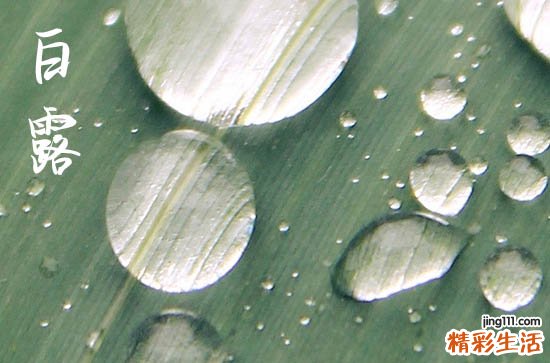 白露是几月几号2024年 2024年白露动土行不行