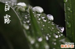 2024年白露是几月几日 2024年白露是办丧事吉日吗