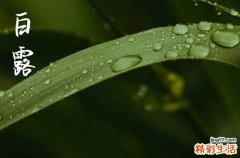 2024年白露是几点几分几秒 2024年白露是去医院的好日子吗