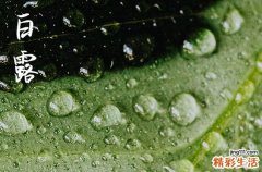 2024白露是哪天 2024年9月7日白露是合寿木吉日吗