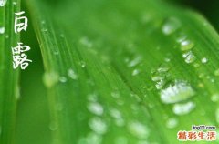 2024年白露时间是什么时候 2024年9月7日白露这天适合合脊吗