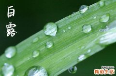 2024年白露是什么时候 2024白露那天回老家好吗