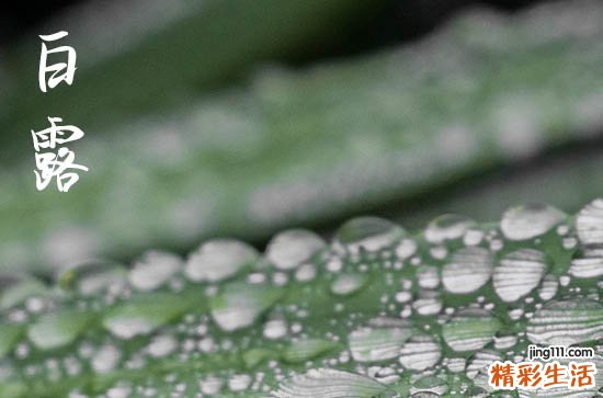 2024年白露是几月几日 2024年9月7日白露当天坐游轮好吗