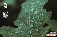 2024年白露是哪一天 2024白露当天可以堵蚁穴吗