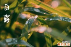白露是2024的几月几日 2024年白露天贼行吗