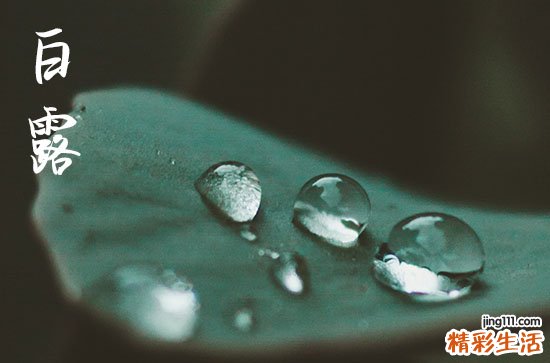 2024白露是哪一天 2024年白露这天日子怎样