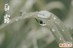 2024年白露是什么时候 2024白露当天可以安置床铺吗