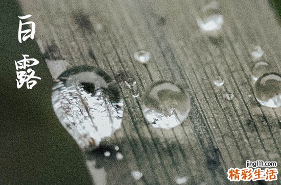 白露是2024的几月几日 2024年白露安葬好不好