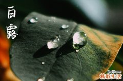 白露2024年是几月几日星期几 2024年9月7日白露是安装门框吉日吗
