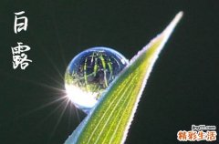 2024年白露时间是什么时候 2024年白露是安香吉日吗