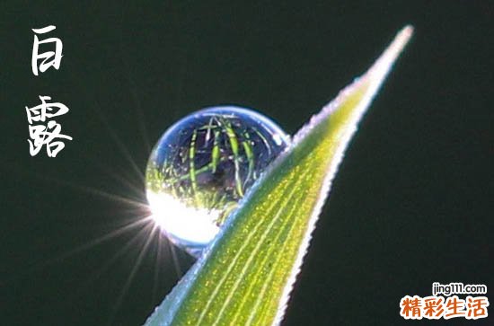 2024年白露时间是什么时候 2024年白露是安香吉日吗