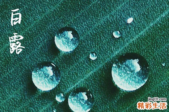 2024年白露时间是什么时候 2024年9月7日白露是封顶的黄道吉日吗