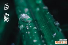 2024年白露是多少号 2024年白露这天日子怎样