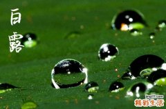 2024白露是农历哪一天 2024白露那天就职好吗