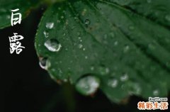 2024白露是哪天 2024白露当天可以开光吗