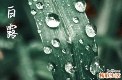 2024年白露是什么时候 2024年白露适合开学吗