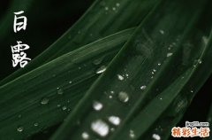 2024年白露几月几日 2024白露当天可以成服吗