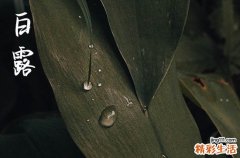 白露是几月几号2024年 2024白露当天可以房子过继吗