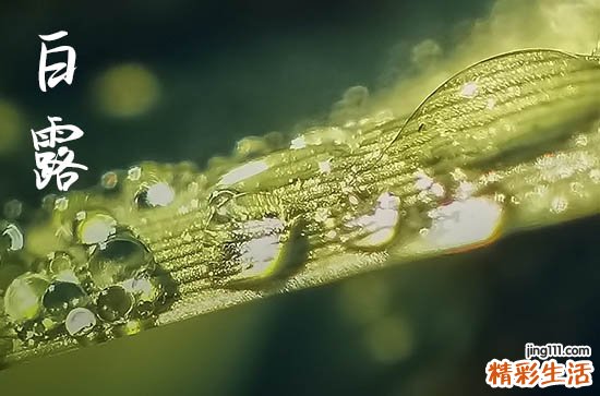 2024年白露是什么时候 2024白露那天打官司好吗