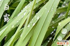 2024年白露是哪一天 2024年白露打扫卫生行吗