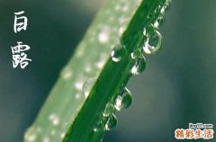 2024年白露是什么时候 2024年9月7日白露拜财神爷适合吗