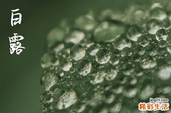 2024年白露是几月几日 2024年白露拜师学艺行吗