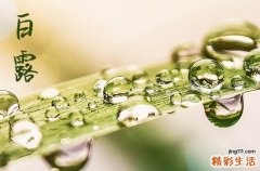 白露是几月几号2024年 2024白露这天可以挂招牌吗