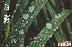 2024年白露是什么时候时间 2024白露这天可以掘井吗