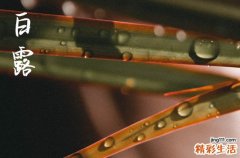 2024年白露是什么时候时间 2024年白露收蚕可以吗