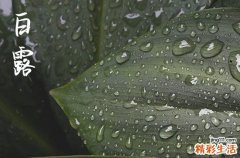 2024年什么时候白露 2024年白露弄搬迁适合吗