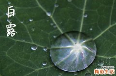 2024年什么时候白露 今天日子好不好