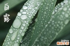 2024白露是农历哪一天 2024年9月7日是白露