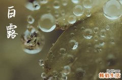 2024年白露是多少号 2024年白露弄栽种好吗
