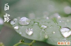 2024年白露是什么时候 2024白露是黄道吉日吗