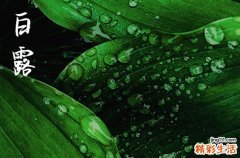2024年白露是具体哪一天 2024年白露是治病的好日子吗