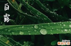 2024年白露是哪一天 今天日子好不好