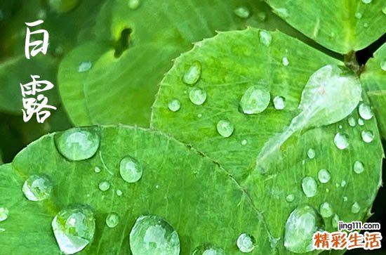 2024年白露是多少号 2024年白露祈福吉利吗
