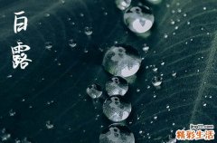 2024年白露是什么时候时间 2024年白露弄粉刷墙壁好不好