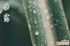 2024年白露是几月几日 2024年白露是起基吉日吗