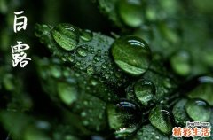 2024年今年白露是几月几号 2024年9月7日白露是起鼓吉日吗