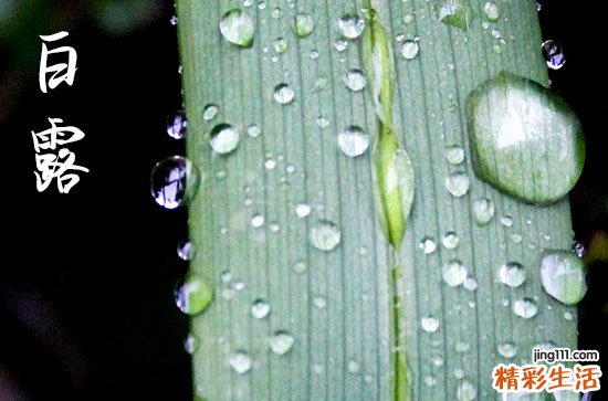 2024白露是农历哪一天 2024年白露迁居吉利吗