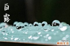 2024年什么时候白露 2024年白露能赶海吗