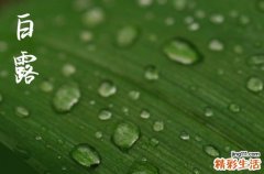 2024白露是农历哪一天 2024年白露是结婚领证吉日吗