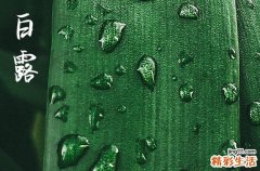 2024白露是哪天 2024白露这天可以生小孩吗