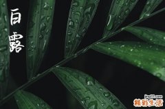 2024白露是哪一天 2024年白露弄登记结婚证可以吗
