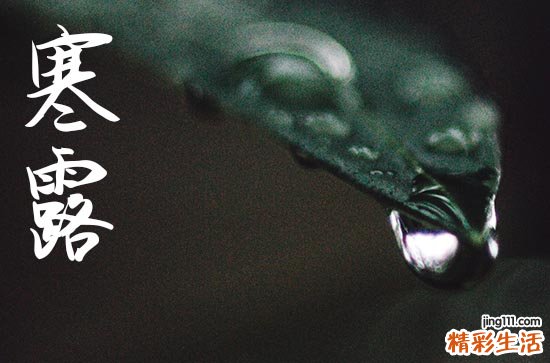 寒露是2024的几月几日 2024年寒露迁坟行不行