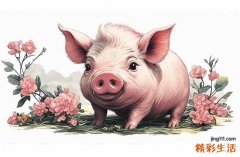 2025屬豬沖太歲怎么化解 2025年屬豬佩戴什么可以化解犯太歲